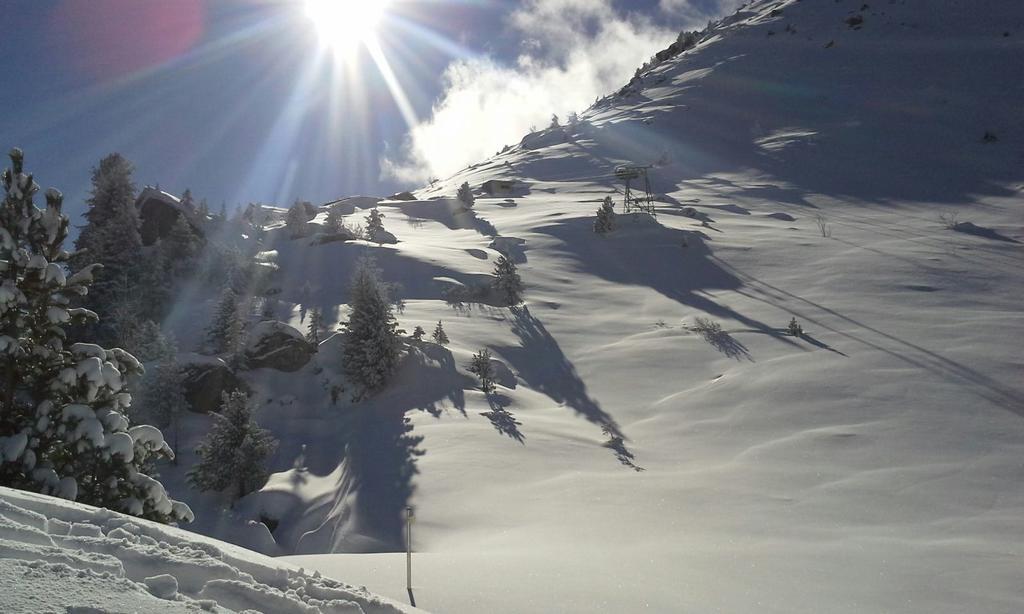 Gastehaus Rieser Hotel Ried im Zillertal Luaran gambar