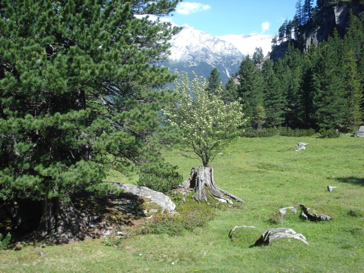 Gastehaus Rieser Hotel Ried im Zillertal Luaran gambar